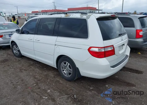 2005 Honda Odyssey Ex-L from USA, damaged, VIN 5FNRL38675B126535